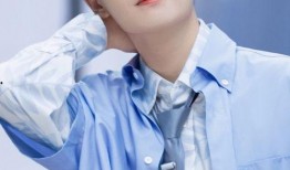 老陈最新爆料新闻直播回放,最新爆料新闻直播回放深度解析